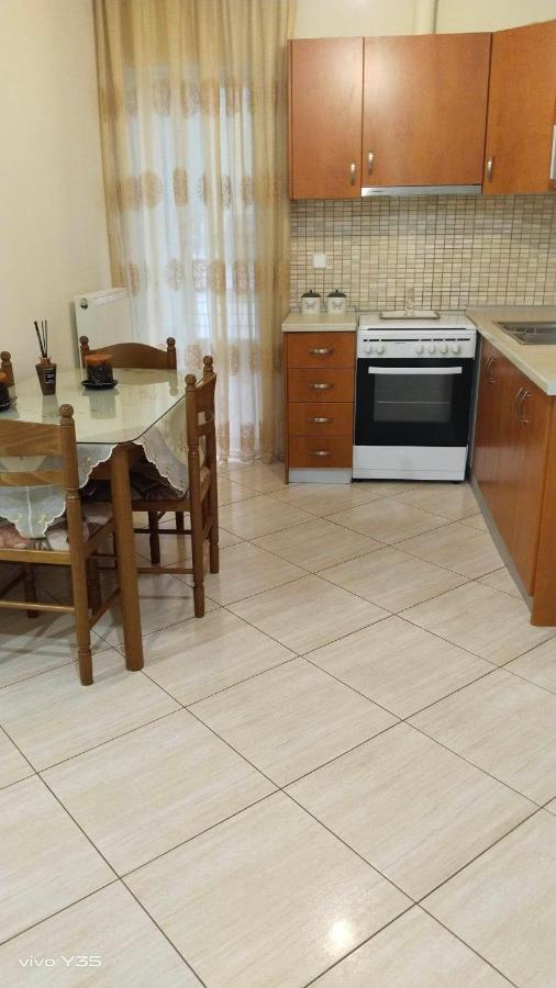 Ομορφο Διαμερισμα Στο Κεντρο Της Πολης Με Παρκιν Apartman Tríkala Kültér fotó
